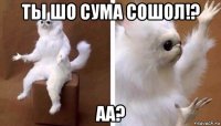 ты шо сума сошол!? аа?