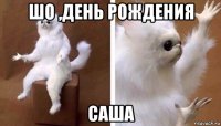 шо ,день рождения саша