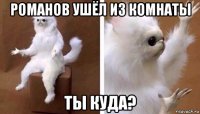 романов ушёл из комнаты ты куда?