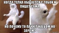 когда телка общается с тобой и пишет сама но почему то пахнет наебом но зачем?