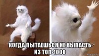  когда пытаешься не выпасть из топ-1000