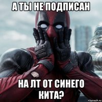 а ты не подписан на лт от синего кита?