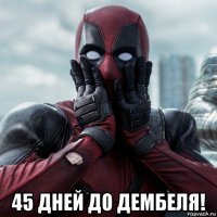  45 дней до дембеля!