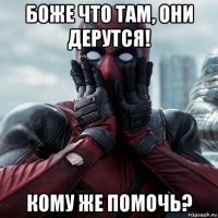 боже что там, они дерутся! кому же помочь?