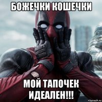 божечки кошечки мой тапочек идеален!!!