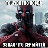 то чувство когда узнал что серый гей