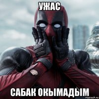 ужас сабак окымадым