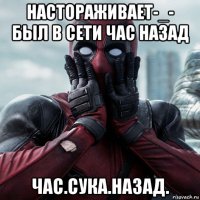 настораживает-_- был в сети час назад час.сука.назад.