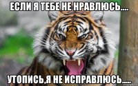 если я тебе не нравлюсь.... утопись,я не исправлюсь.....