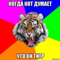 когда кот думает что он тигр