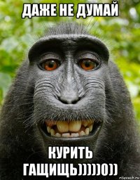 даже не думай курить гащищь)))))0))