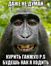 даже не думай курить ганжу)) p.s будешь как я ходить