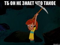 тб он не знает что такое 