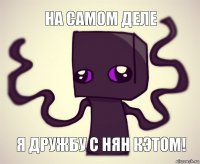 На самом деле Я дружбу с нян кэтом!