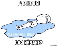 где же вы софийчане?