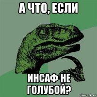 а что, если инсаф не голубой?