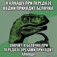 к алкашу при передозе водки приходит белочка. значит, к белочке при передозе орехами приходит алкаш?