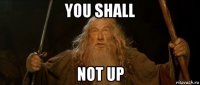 you shall not up