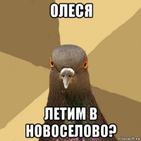 олеся летим в новоселово?