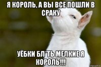 я король, а вы все пошли в сраку уёбки бл*ть мелкие я король!!!