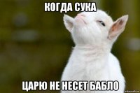 когда сука царю не несет бабло