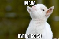 когда купил kc:go