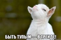  быть тупым — в тренде!