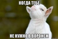 когда тебе не нужно в воронеж