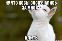 ну что козы,соскучались за мной? бл#ть