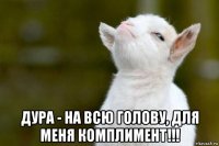  дура - на всю голову, для меня комплимент!!!