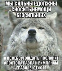 мы сильные,должны сносить немощи безсильных и не себе угождать.послание апостола павла к римлянам глава 15, стих 1 )