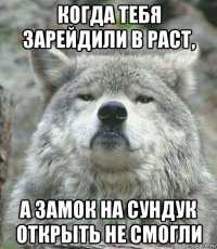 когда тебя зарейдили в раст, а замок на сундук открыть не смогли