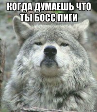 когда думаешь что ты босс лиги 