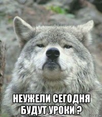  неужели сегодня будут уроки ?