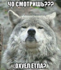 чо смотришь??? охуел ётпа?