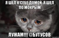 я шел к себе домой ,я шел по мокрым лужам!!! @бутусов