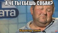 а чё ты ебёшь собак? 