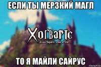 если ты мерзкий магл то я майли сайрус