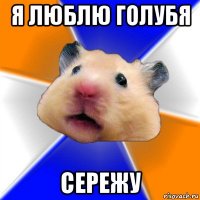 я люблю голубя сережу