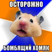 осторожно бомбящий хомяк