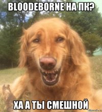 bloodeborne на пк? ха а ты смешной