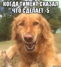 когда тимейт сказал что сделает -5 