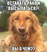 вставать рано и высыпаться?! вы о чем??