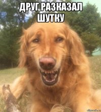 друг разказал шутку 