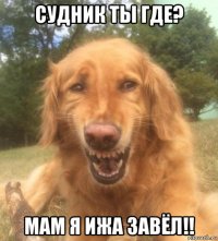 судник ты где? мам я ижа завёл!!