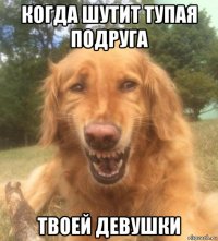 когда шутит тупая подруга твоей девушки