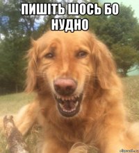 пишіть шось бо нудно 