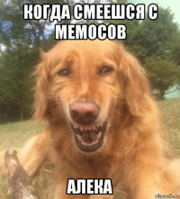 когда смеешся с мемосов алека