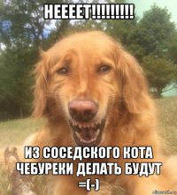 неееет!!!!!!!!! из соседского кота чебуреки делать будут =(-)