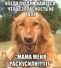 когда людям кажется, что безопасность не твоё "мама меня раскусили!!!111"